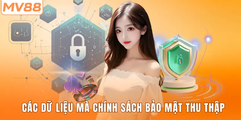 Các dữ liệu mà chính sách bảo mật thu thập