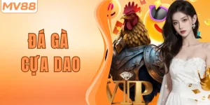 Đá Gà Cựa Dao – Trải Nghiệm Cá Cược Siêu Kịch Tính Tại MV88