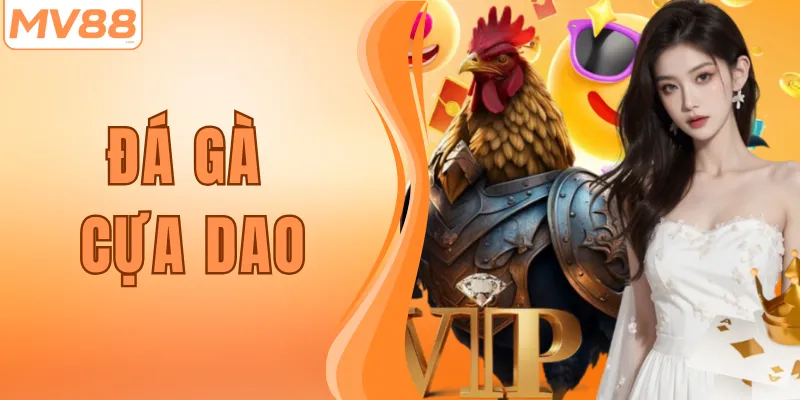Đá Gà Cựa Dao – Trải Nghiệm Cá Cược Siêu Kịch Tính Tại MV88