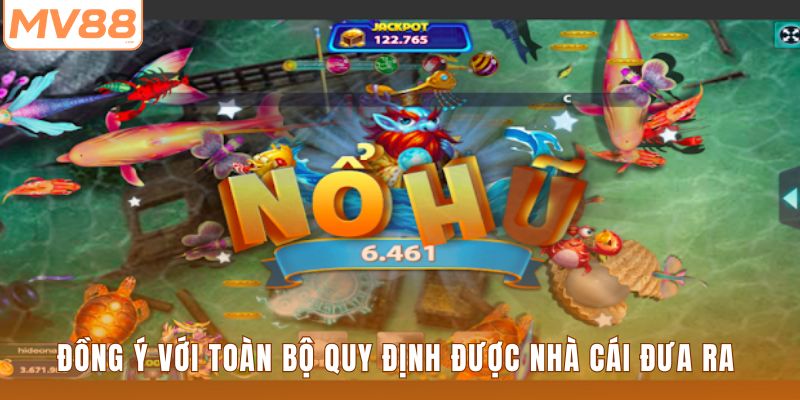 Đồng ý với toàn bộ quy định được nhà cái đưa ra 