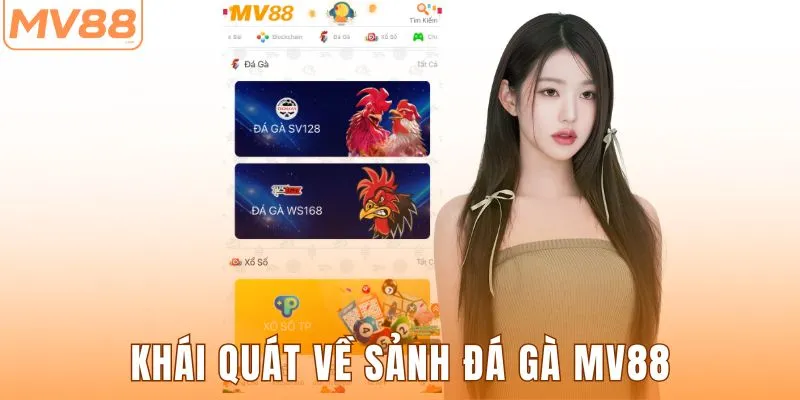 Khái quát về sảnh đá gà MV88