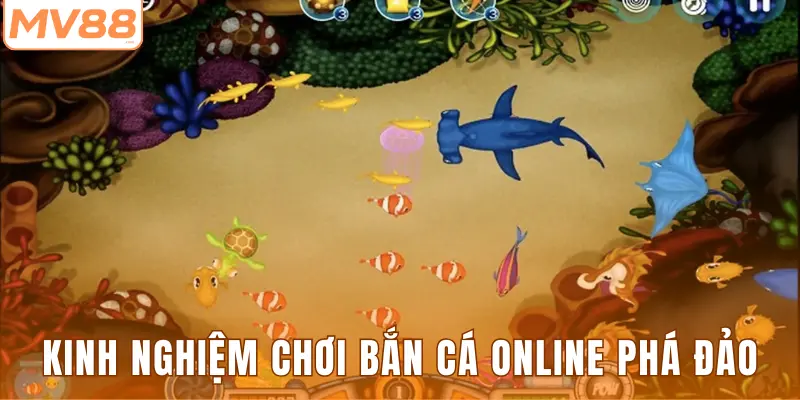 Kinh nghiệm chơi bắn cá online phá đảo