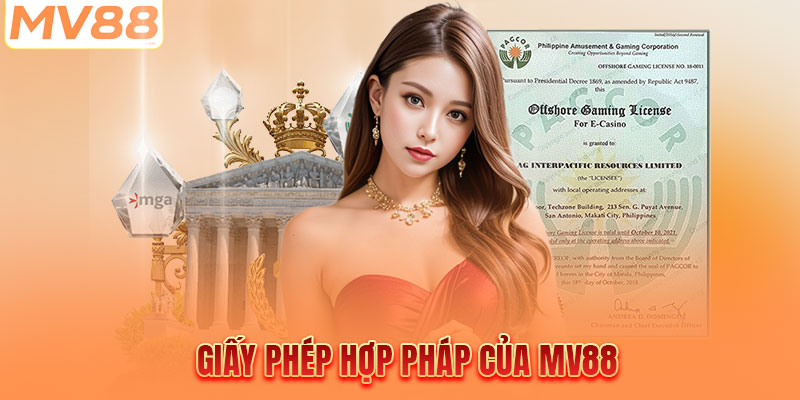 Chi tiết về chứng nhận hợp pháp của nhà cái