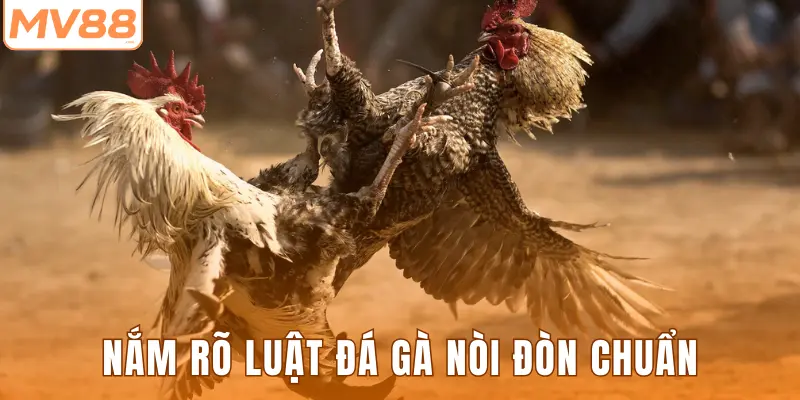 Nắm rõ luật đá gà nòi đòn chuẩn