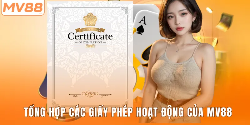 Tổng hợp các giấy phép hoạt động của MV88