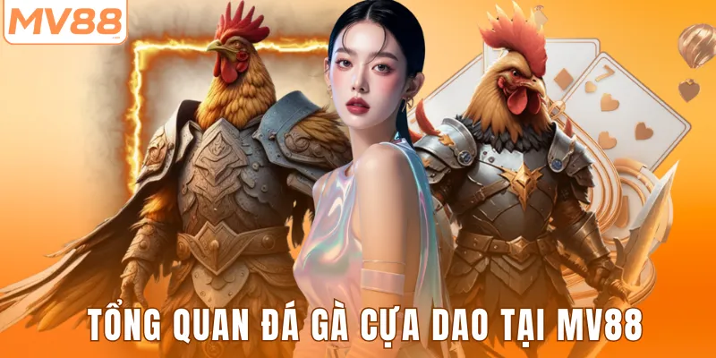 Tổng quan đá gà cựa dao tại MV88