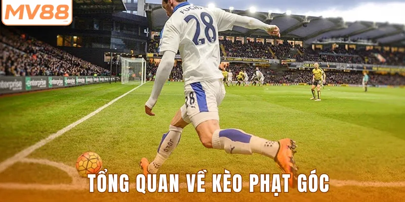 Tổng quan về kèo phạt góc 